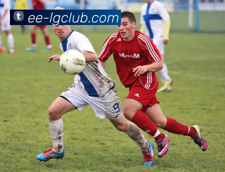 老哥俱乐部官网服务体系