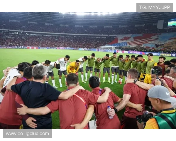 深入探讨文山足球整体实力与未来发展趋势全面解析的多维视角研究